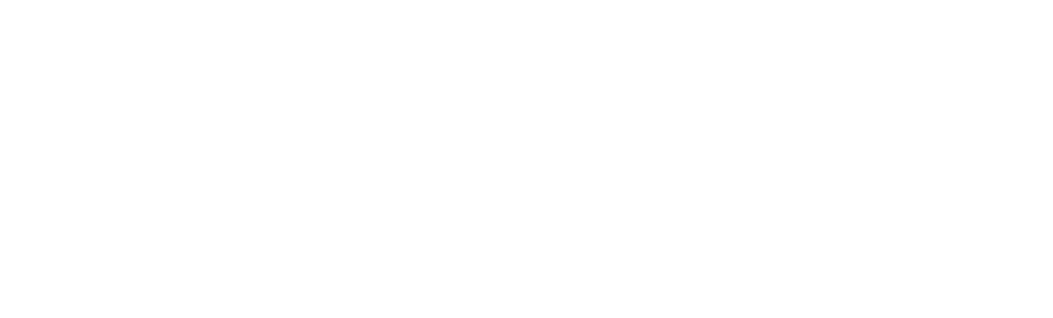 Millenium Group